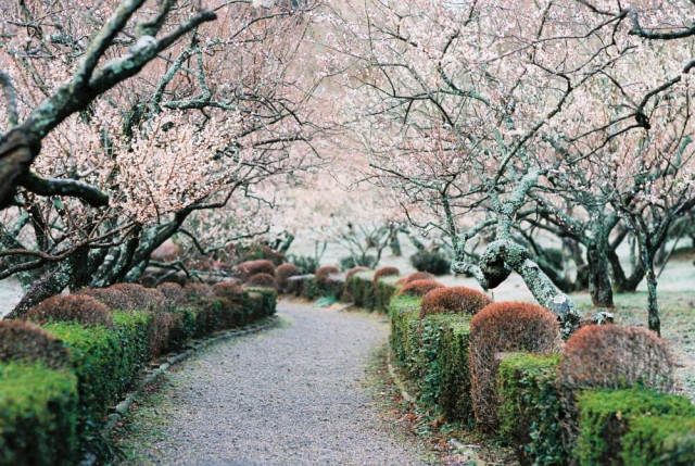 辻村植物公園